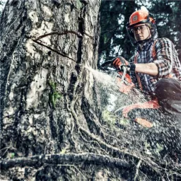 Mężczyzna w kasku i okularach ochronnych tnie piłą spalinową duże drzewo, w powietrzu widać opiłki drewna i wodę.