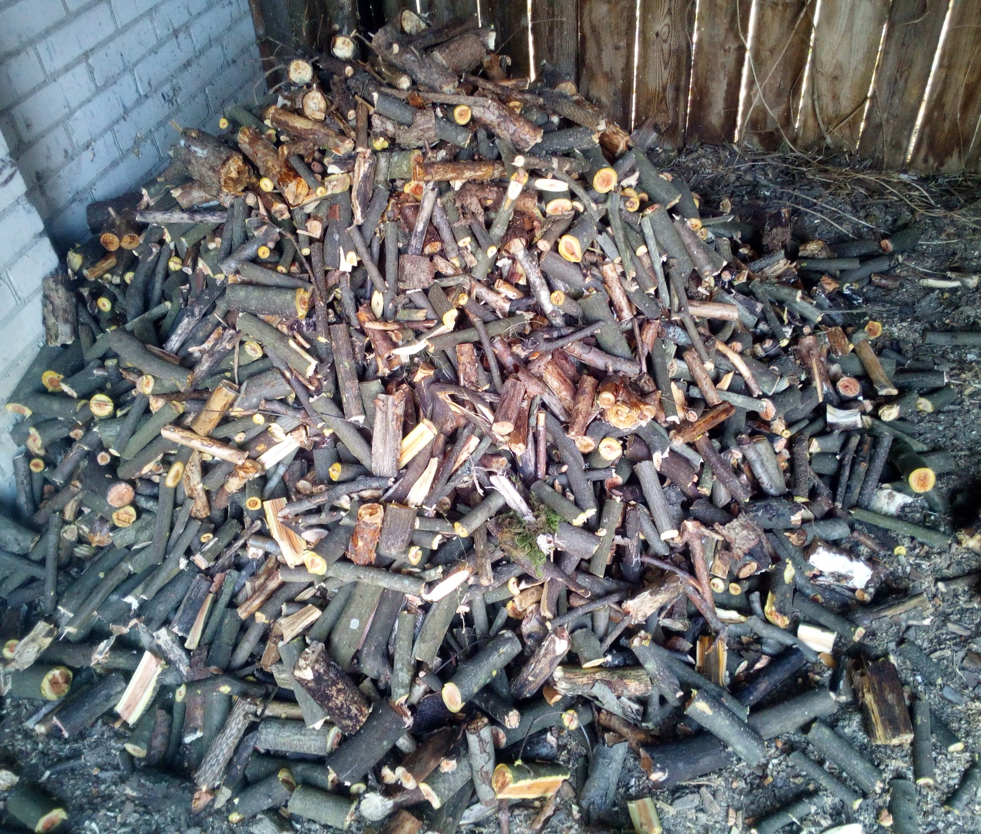 Stos pociętego drewna opałowego w pomieszczeniu gospodarczym, widoczne ślady po cięciu, kawałki drewna różnej grubości i długości, tło stanowi ściana z cegły i drewniana konstrukcja.