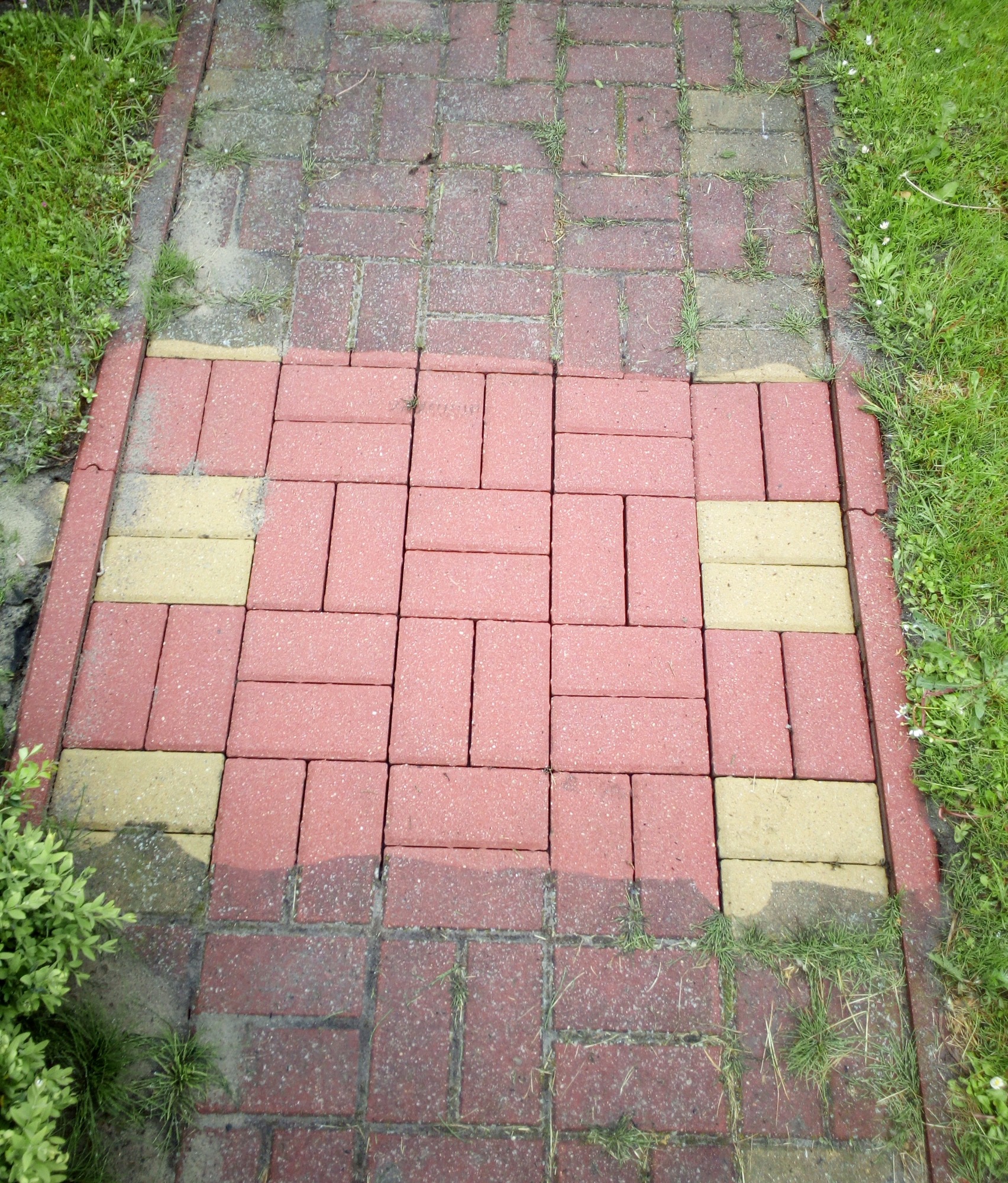 Fragment ścieżki z czerwonej kostki brukowej, częściowo porośniętej trawą, z żółtymi elementami na obrzeżach.