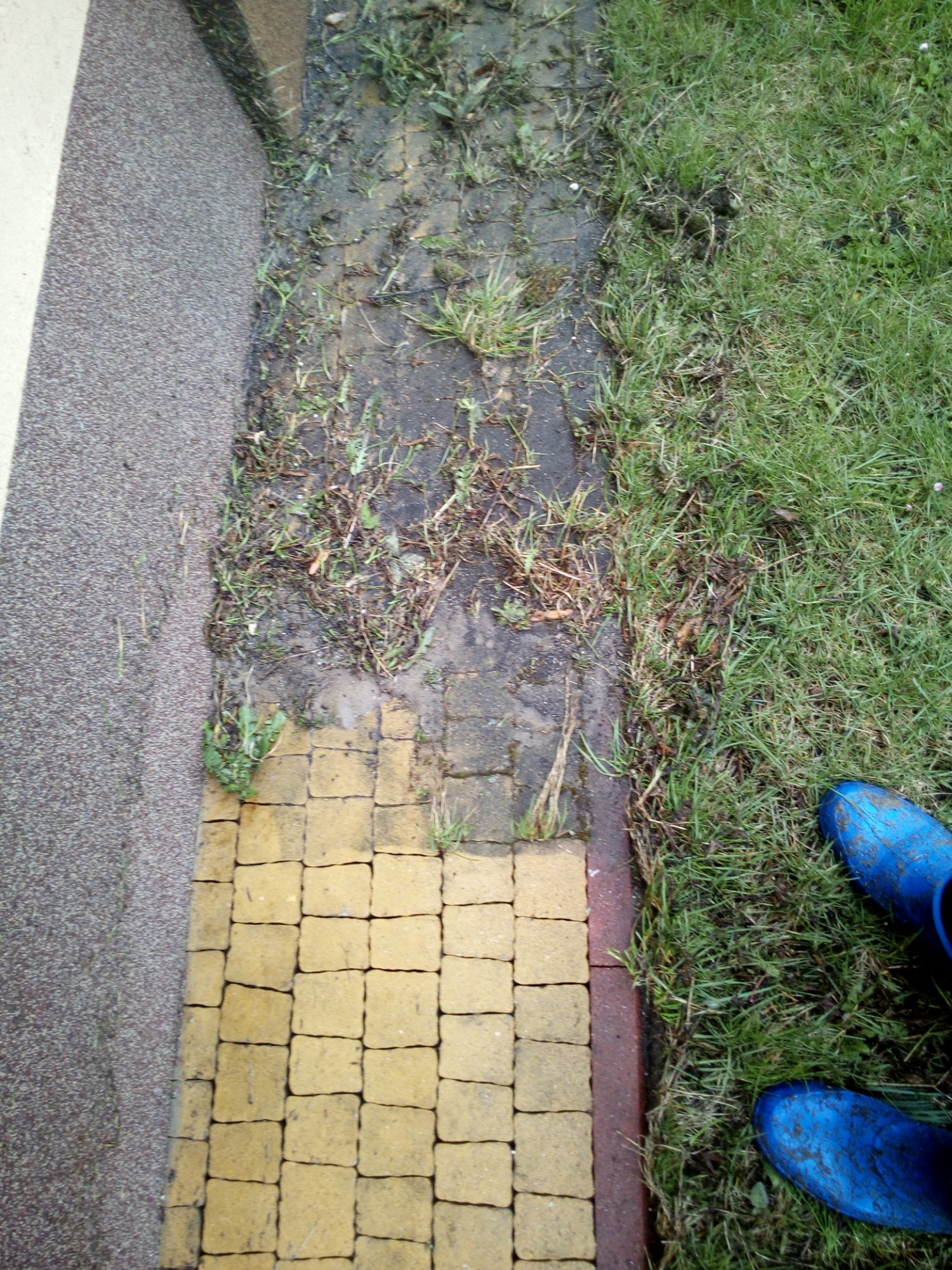 Żółta kostka brukowa, częściowo porośnięta chwastami, sąsiadująca z elewacją i trawnikiem, w rogu widoczne niebieskie, zabłocone kalosze.