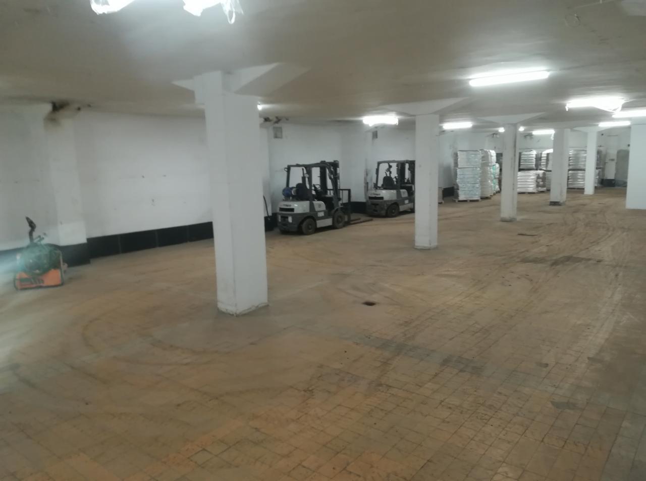 Przestronny magazyn z betonową podłogą, białymi kolumnami i sufitami, oświetlony lampami jarzeniowymi, z widocznymi wózkami widłowymi i paletami z towarem w tle.