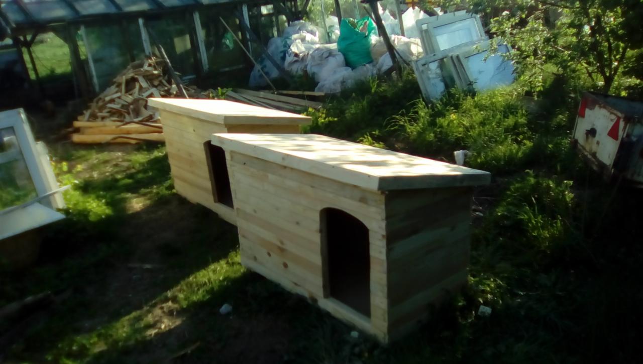 Dwie surowe, drewniane budy dla psów z zaokrąglonymi wejściami, ustawione na trawie w ogrodzie, z widoczną szklarnią, stertą drewna i przyczepką w tle.