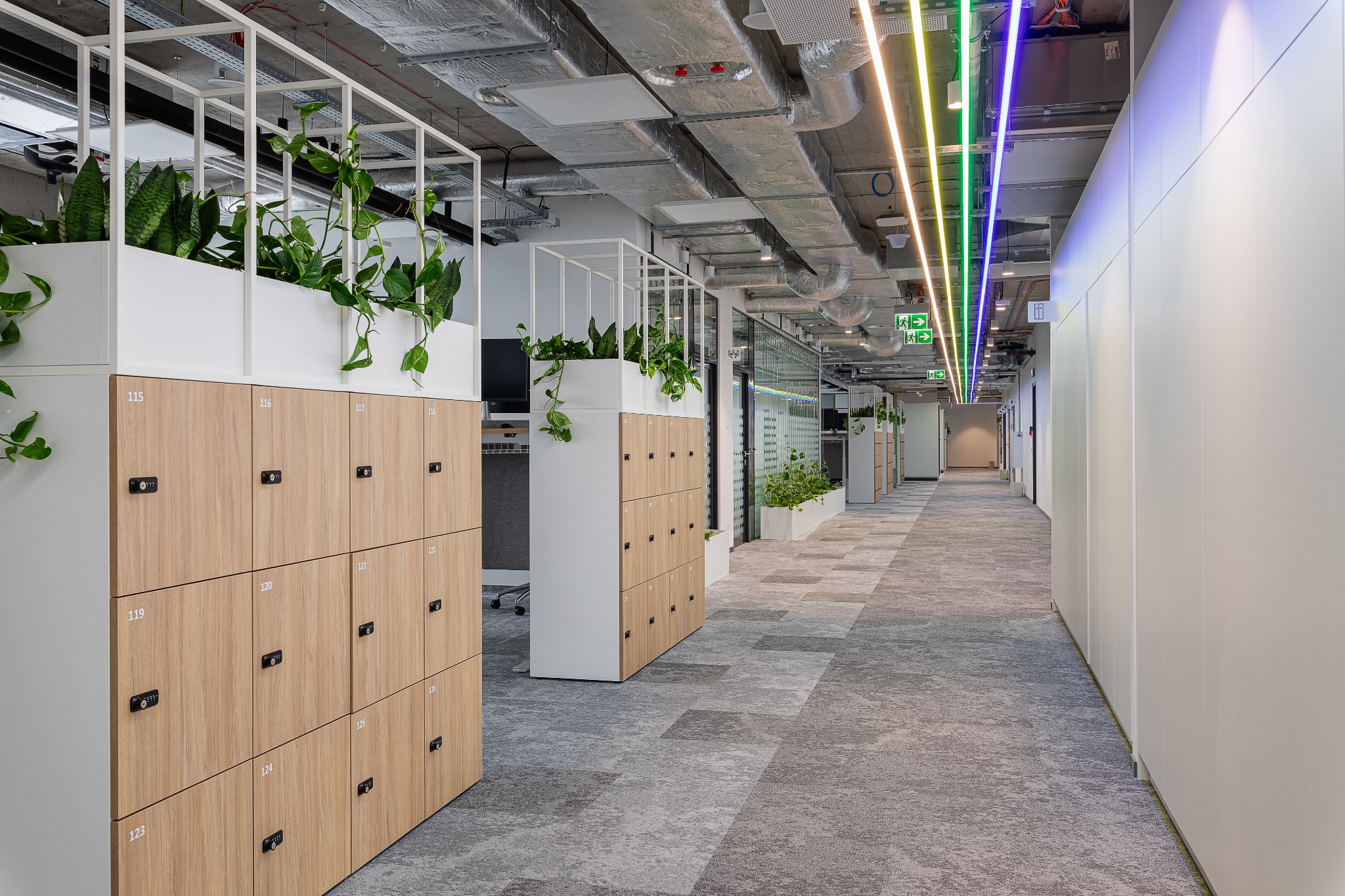 Długi, nowoczesny korytarz biurowy z rzędami drewnianych szafek z numerami, na których umieszczono białe donice z zielonymi roślinami, sufit z widocznymi instalacjami i oświetleniem LED w kolorach...