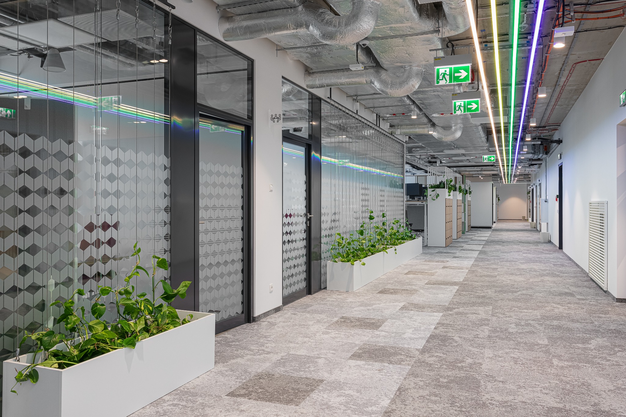 Długi korytarz biurowy z przeszklonymi ścianami działowymi, roślinami w białych donicach, wykładziną dywanową w odcieniach szarości i kolorowymi neonami pod sufitem.