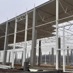 Wymiana dachu Burzec 2