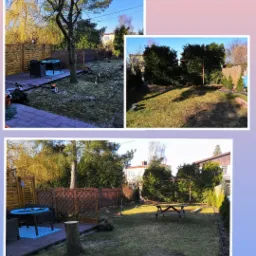 Kompozycja trzech ujęć ogrodu po częściowej wycince drzewa i korekcie żywotników, z widocznymi narzędziami, pociętymi gałęziami i meblami ogrodowymi.