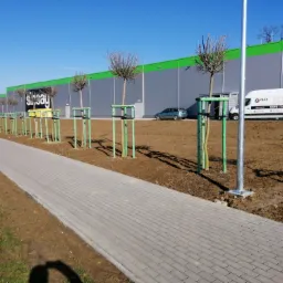 Realizacja nasadzeń zastępczych