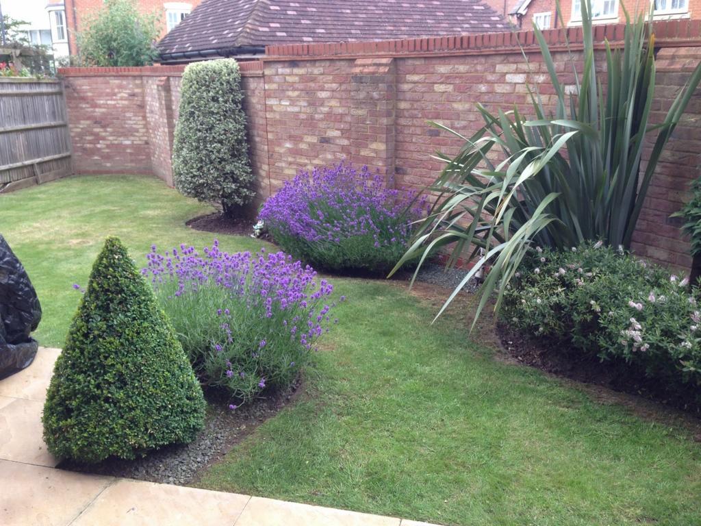 Zadbany ogród przydomowy z lawendą, formowanymi krzewami i wysokimi roślinami, oddzielony od sąsiedniej posesji ceglanym murem.
