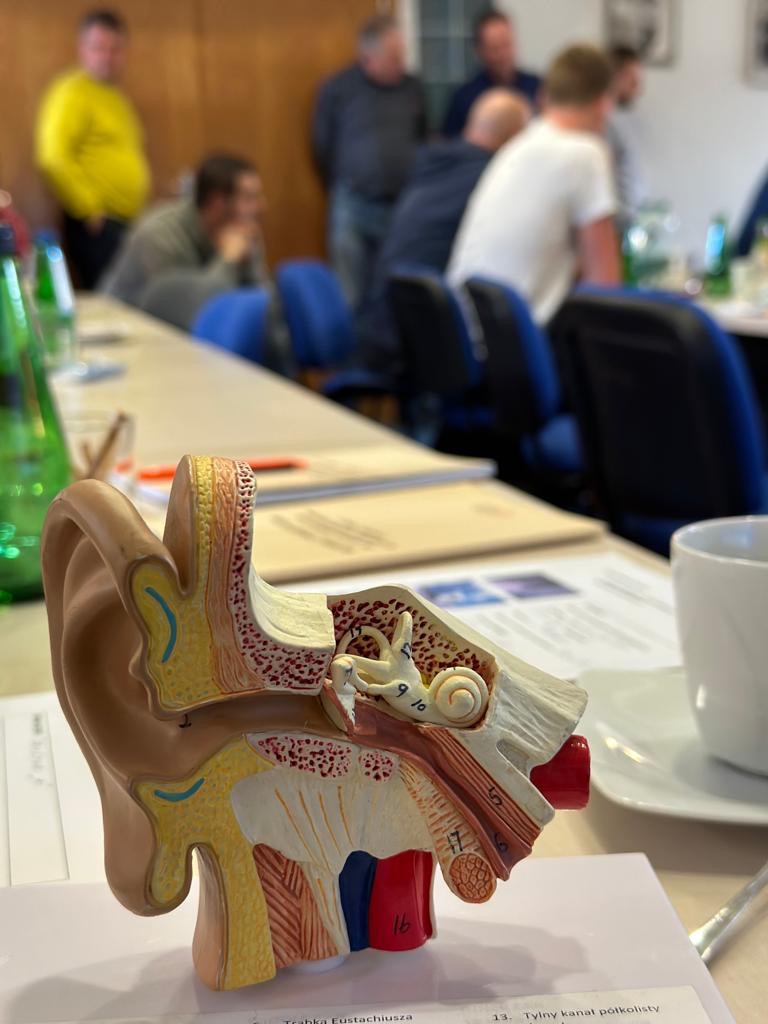 Model anatomiczny ucha wewnętrznego z widocznymi strukturami, umieszczony na stole konferencyjnym podczas zajęć, w tle grupa osób.