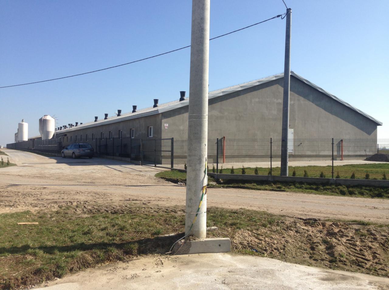 Długi, szary budynek gospodarczy z licznymi oknami i kominami, ogrodzony siatką, z silosami w tle, widziany z perspektywy drogi gruntowej. Słup energetyczny na pierwszym planie.