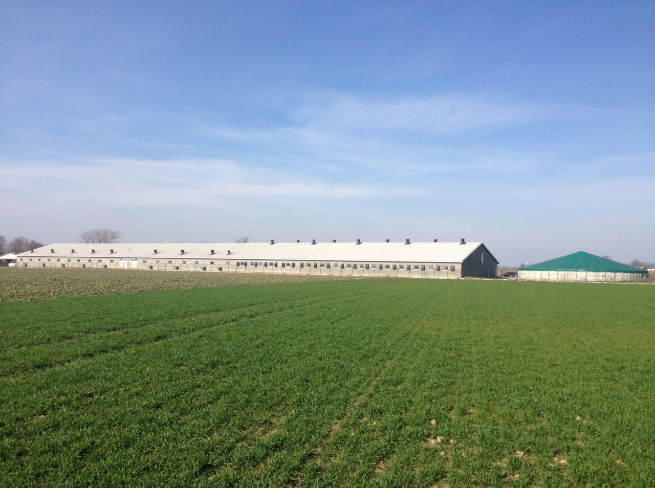 Długi, parterowy budynek murowany z białym dachem i licznymi oknami, widziany z daleka na tle zielonego pola i błękitnego nieba.