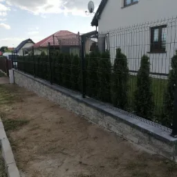 Czarny panelowy system ogrodzeniowy zamontowany na podmurówce z bloczków betonowych, z widocznymi tujami pomiędzy przęsłami, na tle domu z anteną satelitarną.