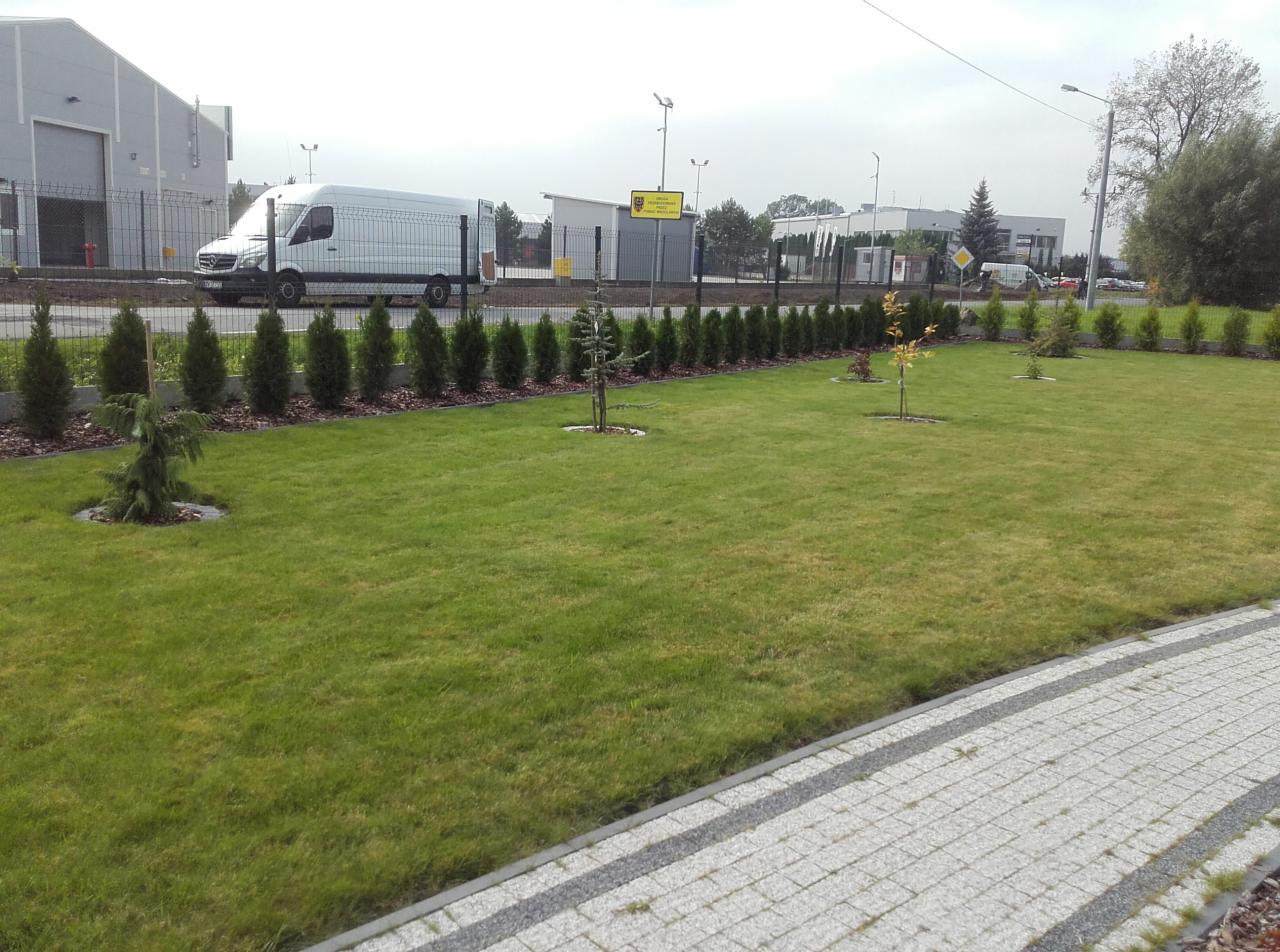 Zadbany trawnik z równo posadzoną linią tuj i młodymi drzewkami na tle przemysłowego krajobrazu z białym vanem.