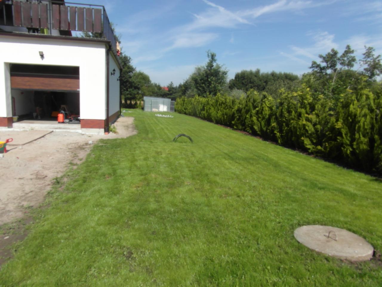 Świeżo skoszony trawnik przylegający do budynku z otwartym garażem, widoczne ślady po kosiarce, rząd tuj wzdłuż granicy działki, betonowa studzienka w trawie.