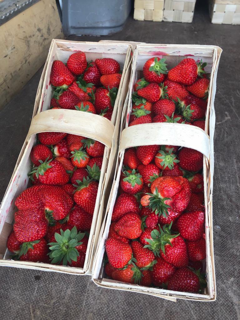 Dwa wiklinowe koszyki wypełnione świeżymi, czerwonymi truskawkami z zielonymi szypułkami, ustawione obok siebie na szarym tle.