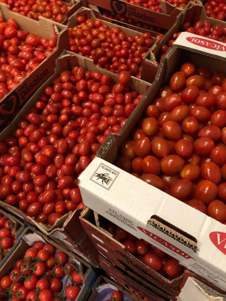 Kartonowe skrzynki wypełnione czerwonymi pomidorami koktajlowymi różnych producentów, widoczne etykiety 'Soci Pasion' oraz 'Vicasol' z symbolem pszczoły.