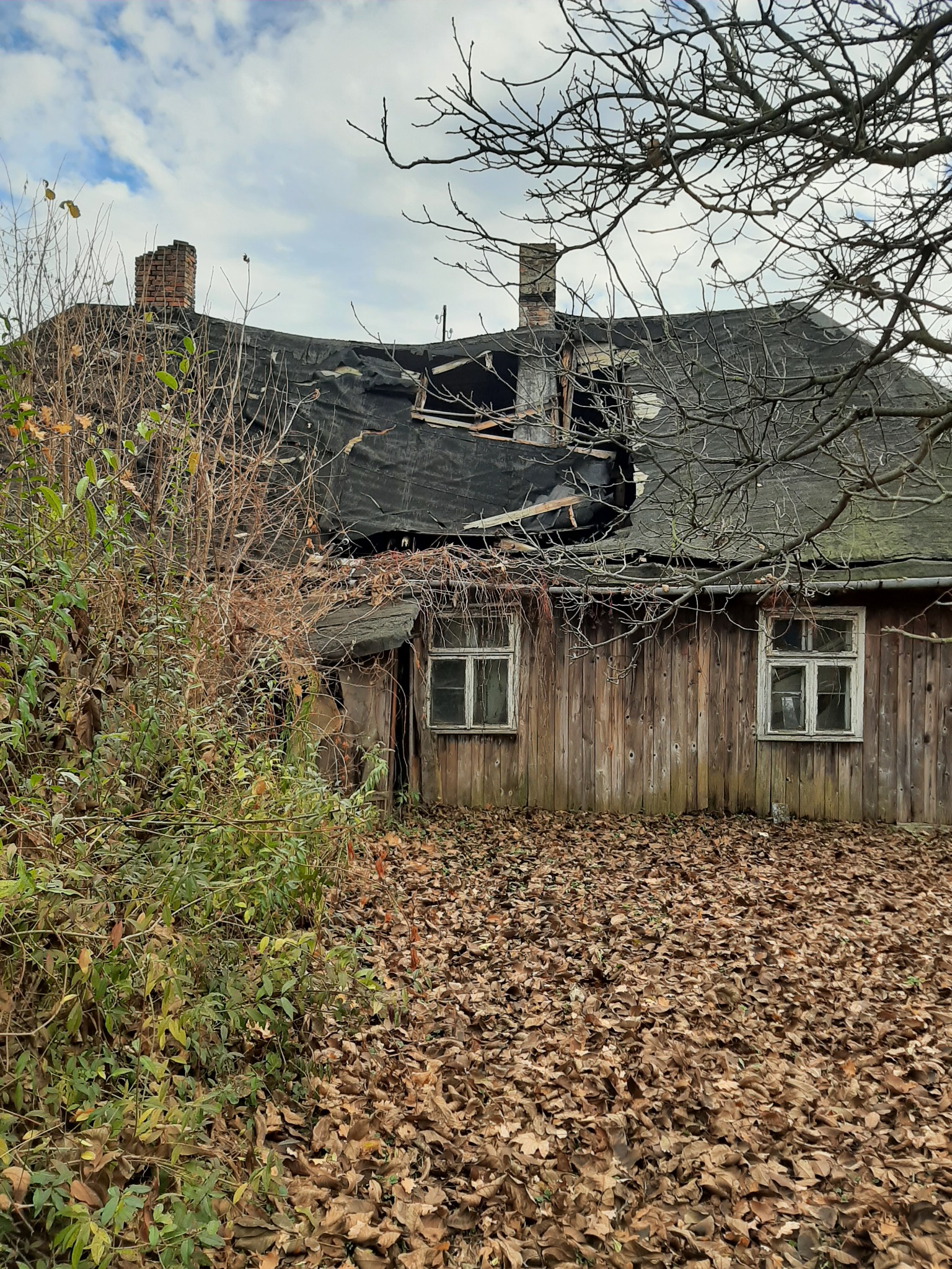 Zniszczony, drewniany dom z dziurawym dachem, ceglanym kominem i opadłymi liśćmi dookoła, widoczne krzewy i gałęzie drzew.