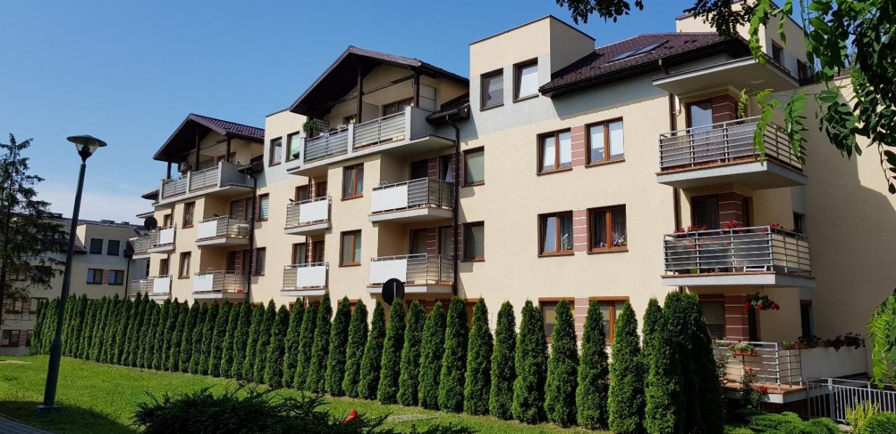 Nowoczesny budynek wielorodzinny z balkonami i brązowymi ramami okiennymi, otoczony rzędem wysokich, wąskich drzew iglastych i zielonym trawnikiem w słoneczny dzień.