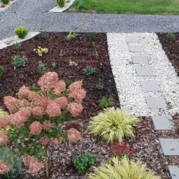 Urozmaicony ogród z ścieżką z białego żwiru i płyt chodnikowych, rabaty wysypane korą, różowe hortensje, ozdobne trawy, młode drzewka i krzewy, oświetlenie punktowe wzdłuż ścieżki z szarego żwiru.