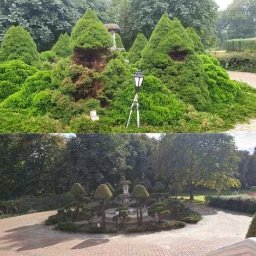 Twój Wymarzony Ogrod - Formowane krzewy iglaste w ogrodzie, część z nich w kształcie stożków, z widocznymi uszkodzeniami, obok latarnia ogrodowa na trójnogu, w tle drzewa i aleja.