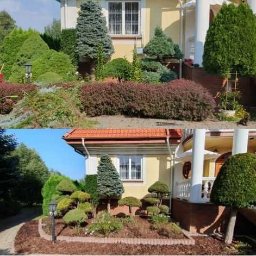 Twój Wymarzony Ogrod - Zdjęcie 'przed i po' przedstawia metamorfozę ogrodu przydomowego: uporządkowane krzewy i drzewka ozdobne, świeżo wyściółkowane rabaty z korą, schludny trawnik i ścieżka z kostki brukowej. Górna...