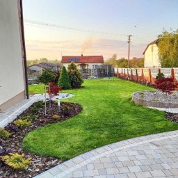 Wycinka drzew Ćmielów 1