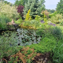 Oczko Ostrowiec Świętokrzyski przed pracą.