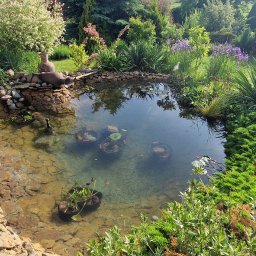 Tw&oacute;j Wymarzony Ogrod - Sadzenie drzew i krzew&oacute;w Ostrowiec Świętokrzyski