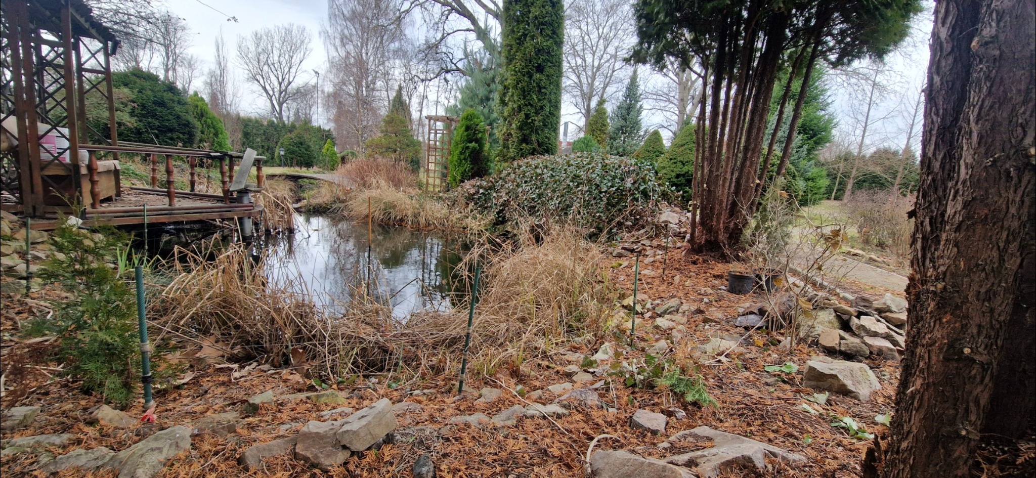 Ogród z małym stawem i drewnianą altaną, otoczony drzewami iglastymi i liściastymi, z widocznymi suchymi trawami i opadłymi igłami na ziemi.
