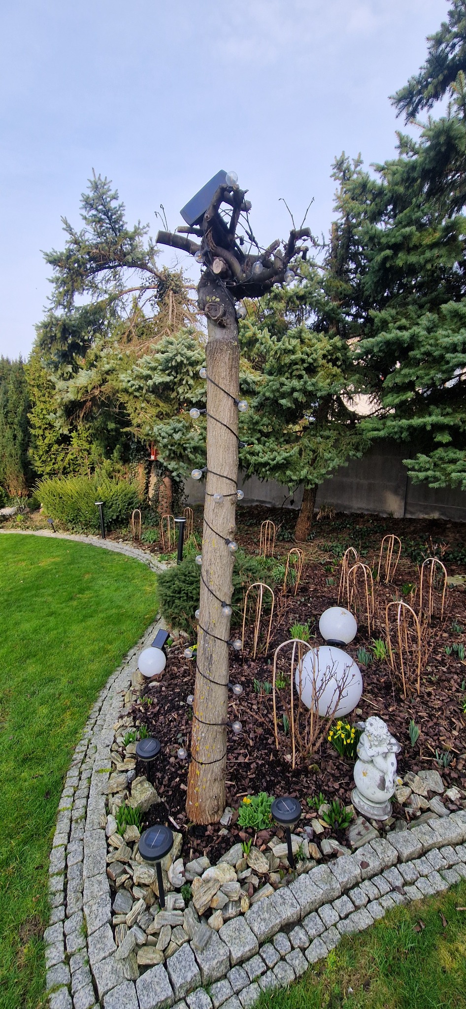 Ozdobny pień drzewa z przyciętymi gałęziami, opleciony sznurem światełek, otoczony rabatą z lampami solarnymi, białymi kulami i figurką aniołka w ogrodzie.