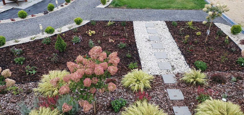 Urozmaicony ogród z ścieżką z białego żwiru i płyt chodnikowych, rabaty wysypane korą, różowe hortensje, ozdobne trawy, młode drzewka i krzewy, oświetlenie punktowe wzdłuż ścieżki z szarego żwiru.