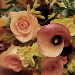 Kwiaciarnia Przy Fontannie Łuków 2