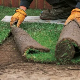 zakładanie trawników z rolki i z siewu