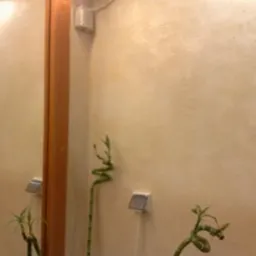 ArtDEcor- tynki dekoracyjne- Poznań!