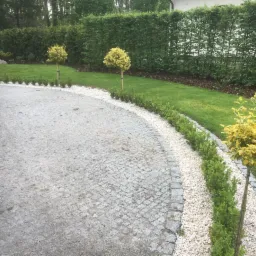 Ułożona z kostki brukowej ścieżka w ogrodzie, oddzielona od trawnika pasem białego żwiru i niskimi krzewami, z trzema formowanymi drzewkami.