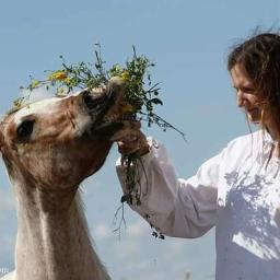 Fotografia Beata Gan - Kobieta w białej koszuli karmi konia bukietem polnych kwiatów na tle błękitnego nieba.