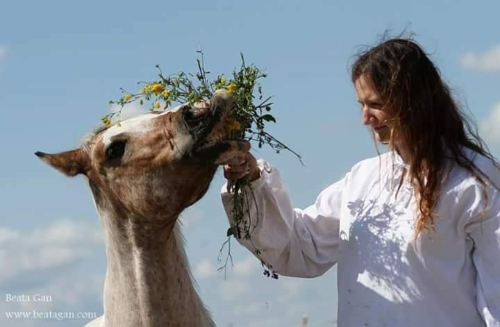 Kobieta w białej koszuli karmi konia bukietem polnych kwiatów na tle błękitnego nieba.