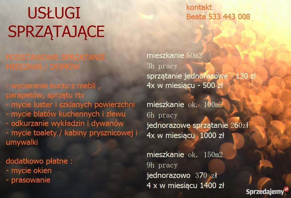 Oferta usług sprzątających z cennikiem: sprzątanie mieszkań o różnym metrażu, wycieranie kurzu, mycie luster, odkurzanie, mycie toalet oraz dodatkowo mycie okien i prasowanie, kontakt telefoniczny.