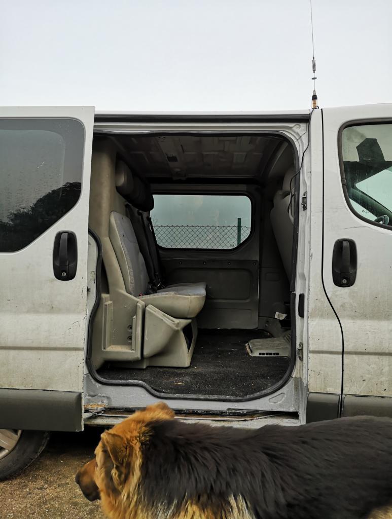 Wnętrze brudnego busa z otwartymi drzwiami bocznymi, widoczne siedzenia i podłoga. Na pierwszym planie fragment sierści psa.