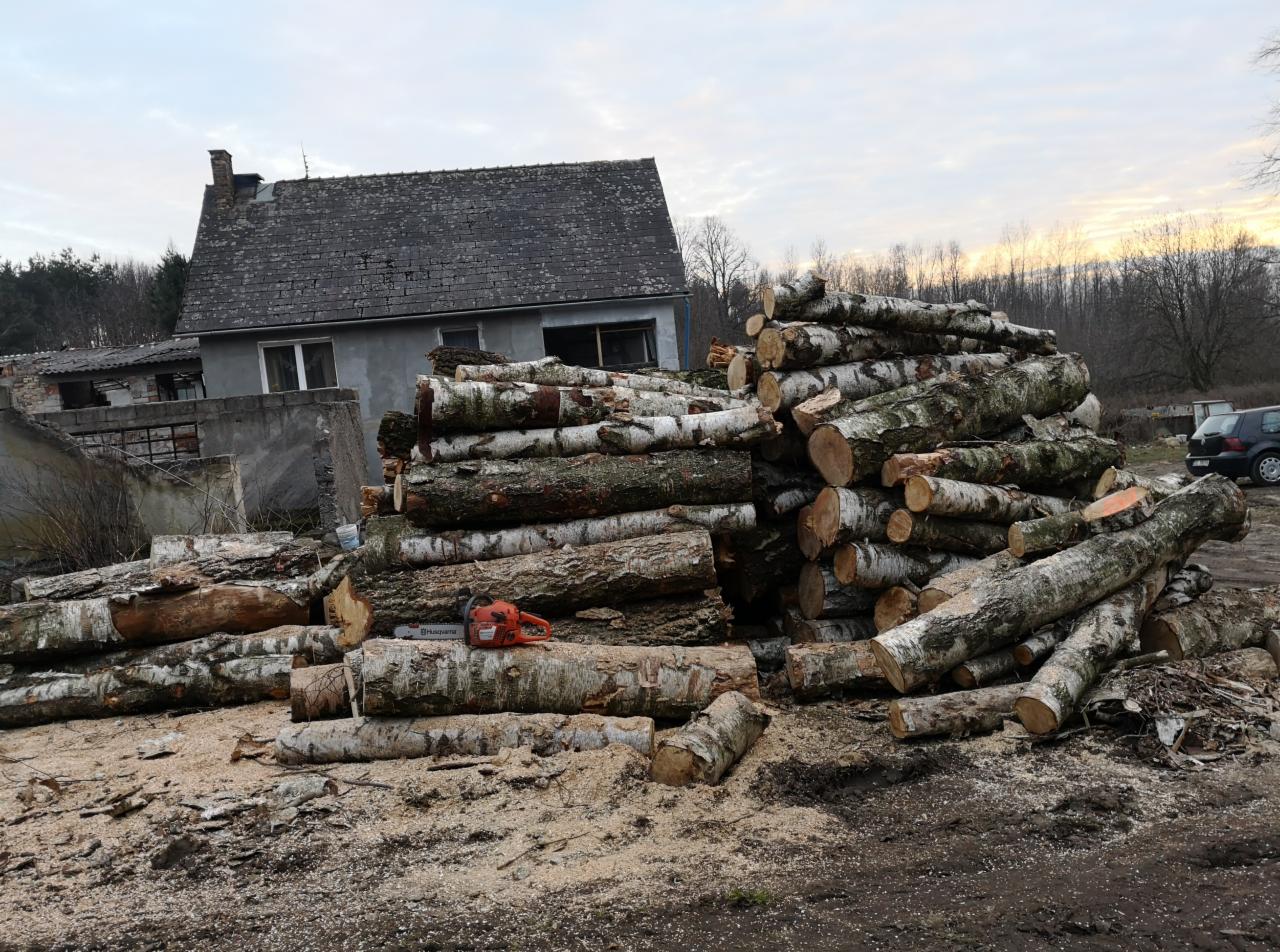 Stos pociętych kloców brzozy z korą, leżąca obok pomarańczowa piła spalinowa Husqvarna, w tle budynek mieszkalny i samochód.