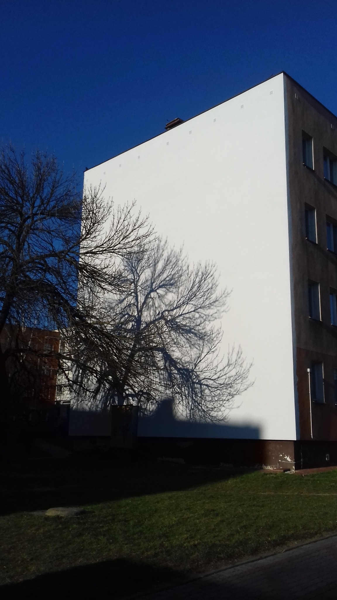 Biała ściana budynku po odświeżeniu, z wyraźnym cieniem drzewa na elewacji, kontrastująca z ciemniejszą, nieodnowioną częścią budynku i intensywnym błękitem nieba.