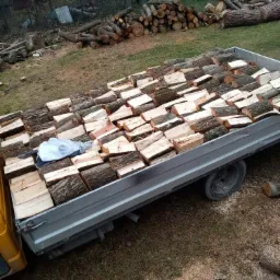 Przyczepa wypełniona pociętymi klockami drewna opałowego, w tle stos drewna i zarośla.