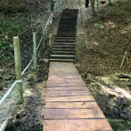 Drewniany pomost prowadzący do schodów w lesie, obok siatka ogrodzeniowa z betonowymi słupkami.