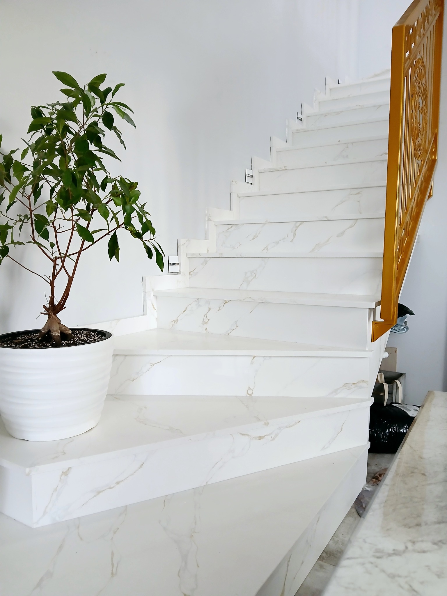 Białe schody z marmurowym wzorem, złota balustrada, roślina doniczkowa w białej osłonce.