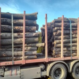 Artdrew - Sprzedaż Drewna Opałowego Rabe