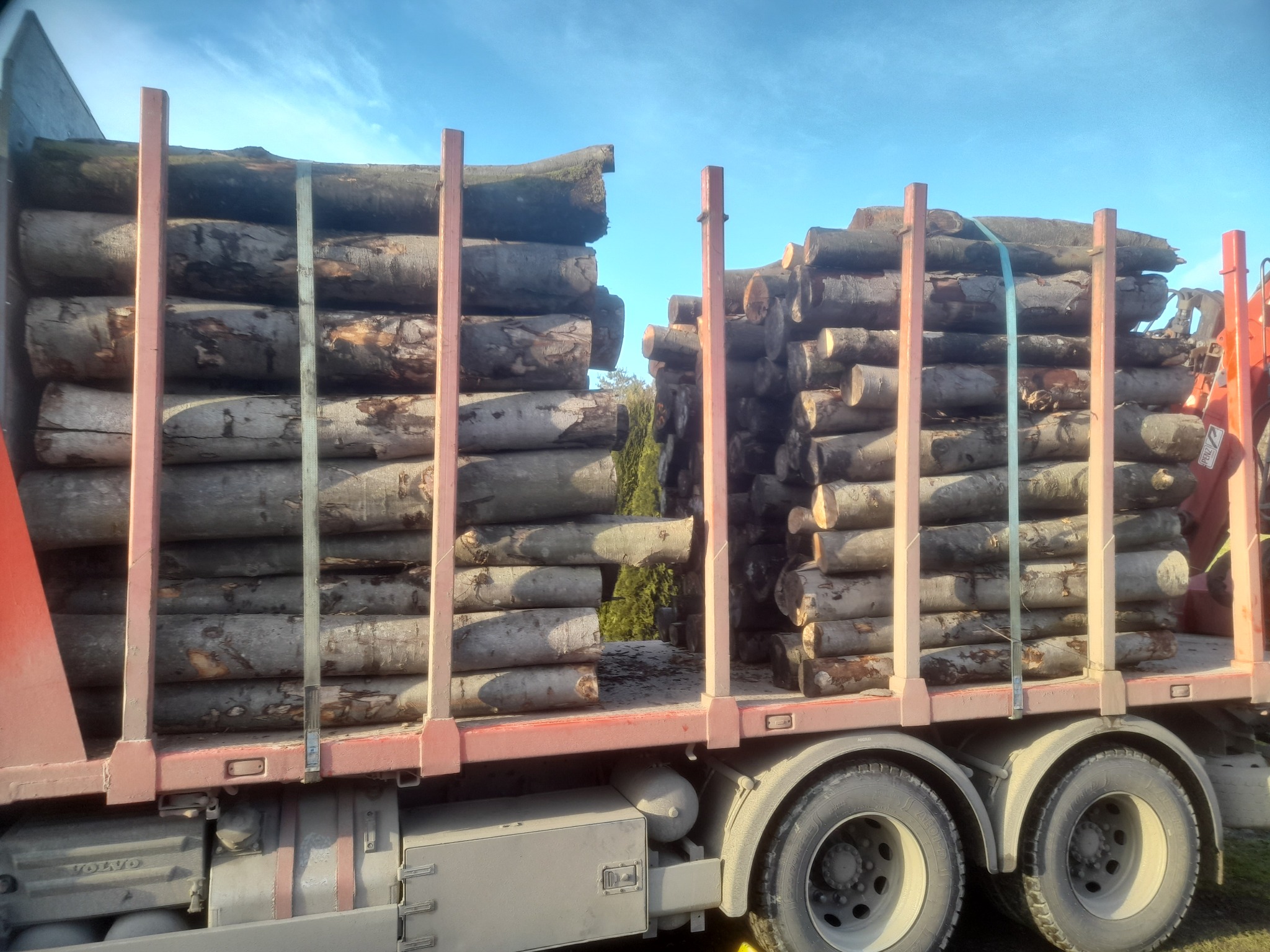 Ciężarówka z załadunkiem pociętych kłód drzewnych, zabezpieczonych pasami transportowymi, widoczna w słoneczny dzień.