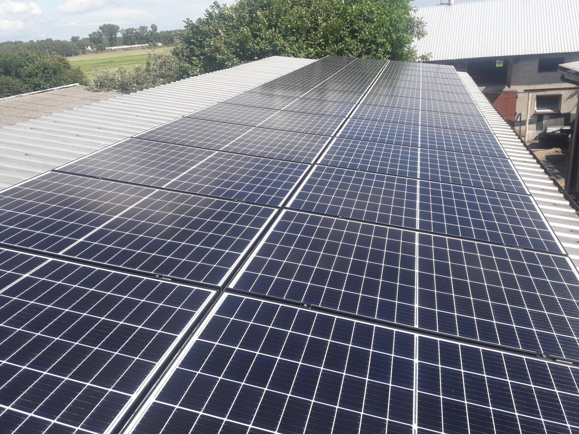 Rząd paneli słonecznych na blaszanym dachu budynku gospodarczego, z widokiem na pola i drzewa w tle.