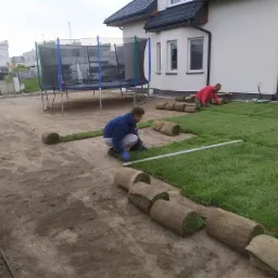 Układanie trawy z rolki na przygotowanym podłożu, widoczni pracownicy w trakcie pracy, w tle dom jednorodzinny i trampolina.