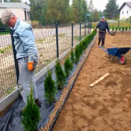 Sadzenie szmaragdowych tuj w rzędzie wzdłuż ogrodzenia, wyściółka z czarnej agrowłókniny i kamyczków, pracownik w dżinsowej kurtce i pomarańczowych rękawicach przy pracy, drugi pracownik z taczką...