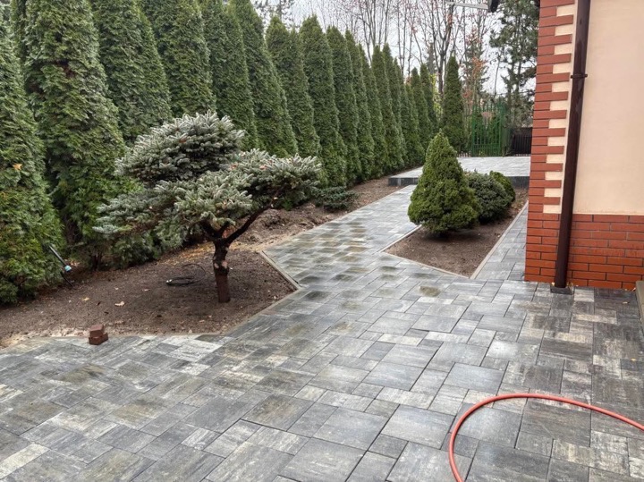 Ścieżka z szarej kostki brukowej ułożona w geometryczny wzór, obok rząd wysokich tuj i małe drzewko bonsai, widoczny fragment elewacji budynku.